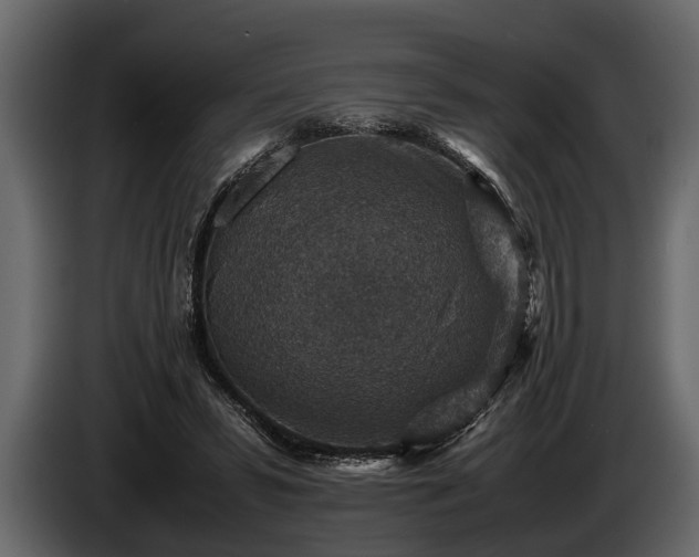 X0000085730399200703231052