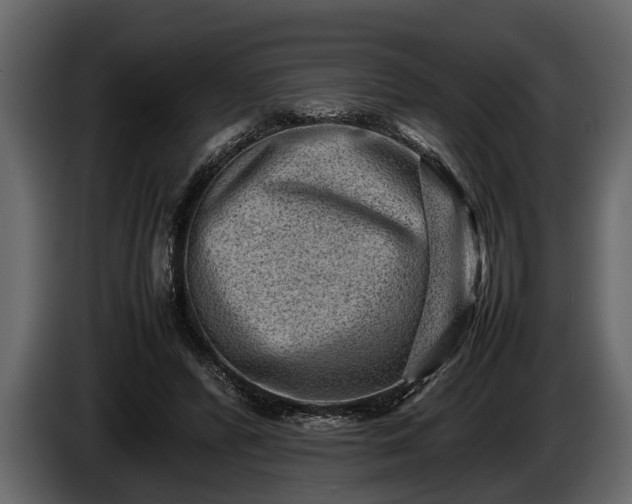 X0000085730400200703231052