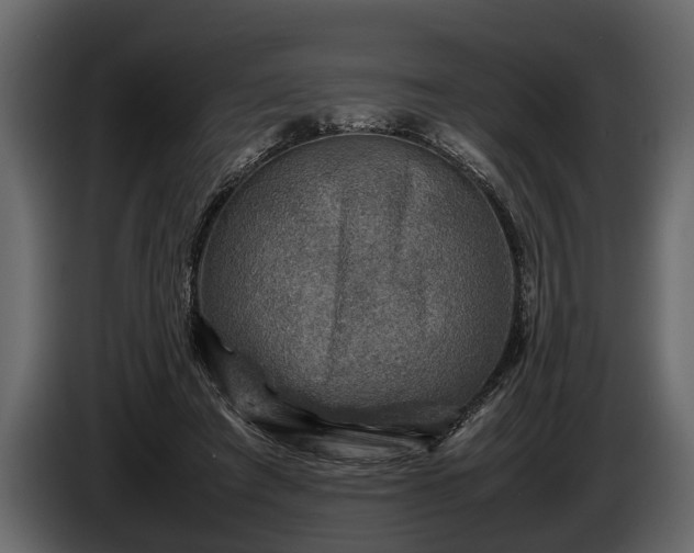 X0000085730401200703231052