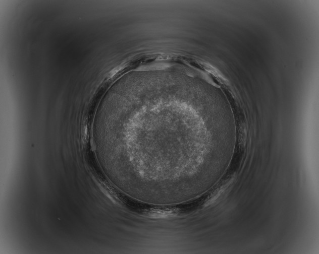 X0000085730405200703231052