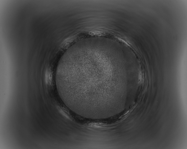 X0000085730408200703231052