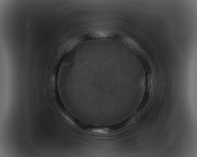 X0000085730410200703231052