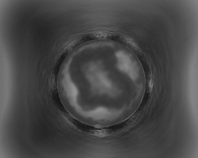 X0000085730411200703231052