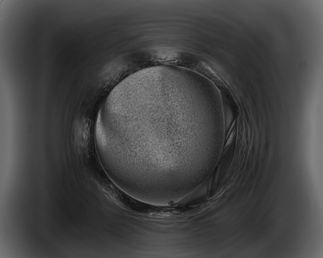 X0000085730412200703231052