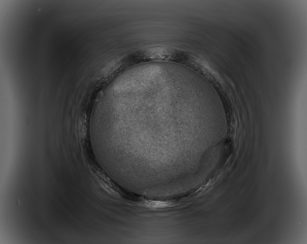 X0000085730413200703231052