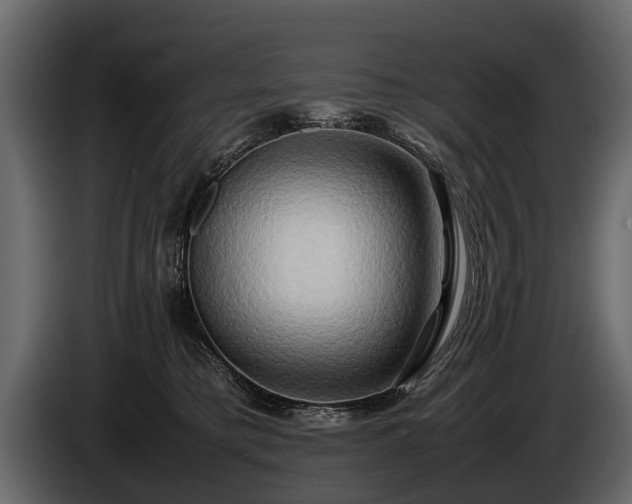 X0000085730421200703231052