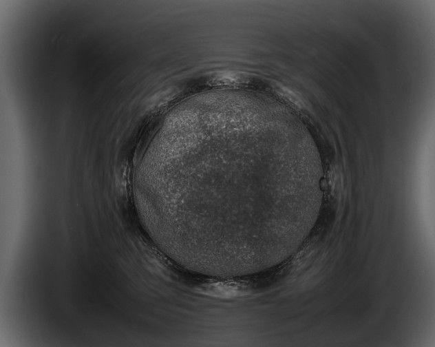 X0000085730423200703231052