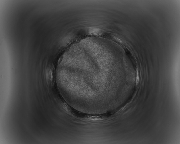 X0000085730424200703231052