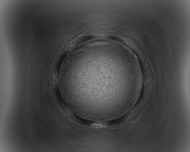 X0000085730425200703231052