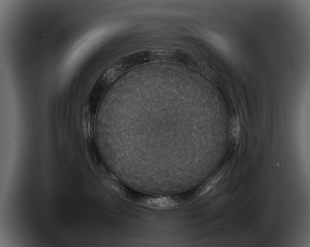 X0000085730431200703231052