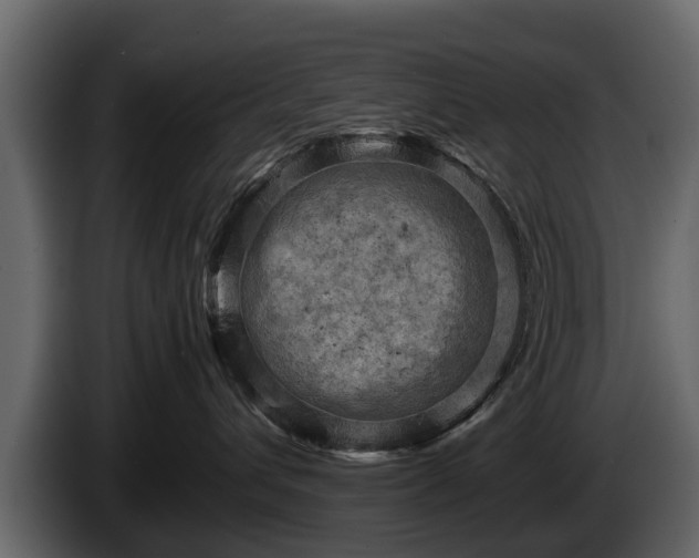 X0000085730432200703231052