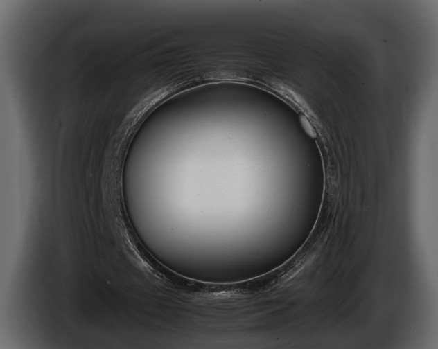 X0000085730433200703231051