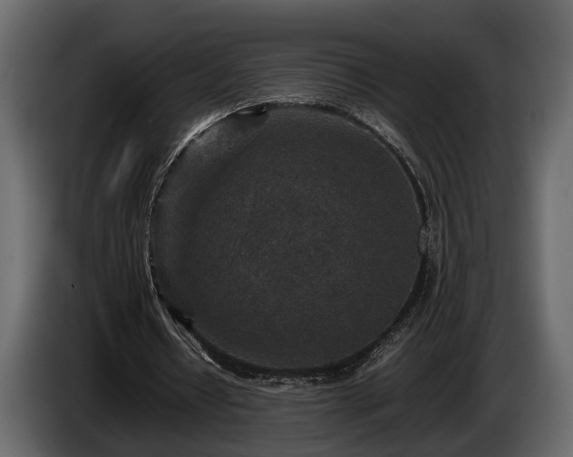 X0000085730434200703231051