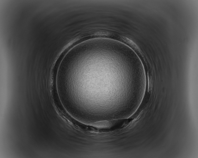 X0000085730435200703231051