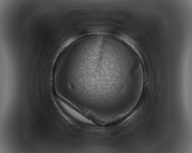 X0000085730437200703231051