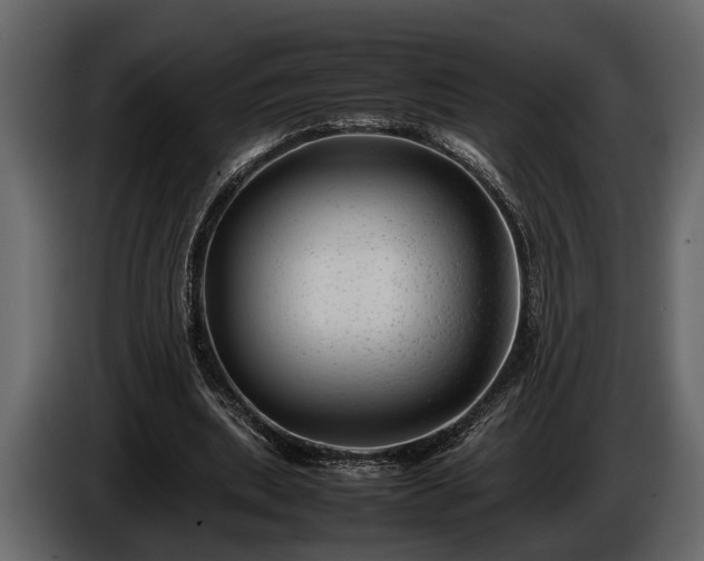 X0000085730439200703231051