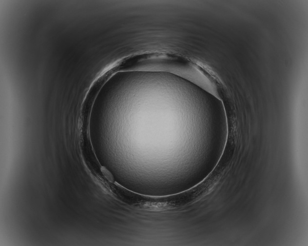 X0000085730440200703231051