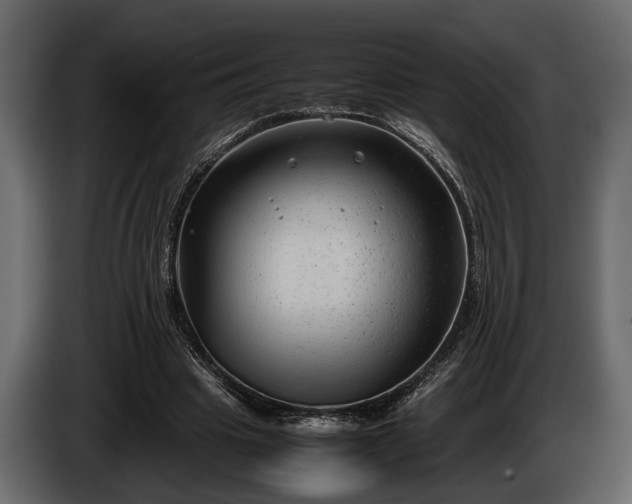 X0000085730441200703231051