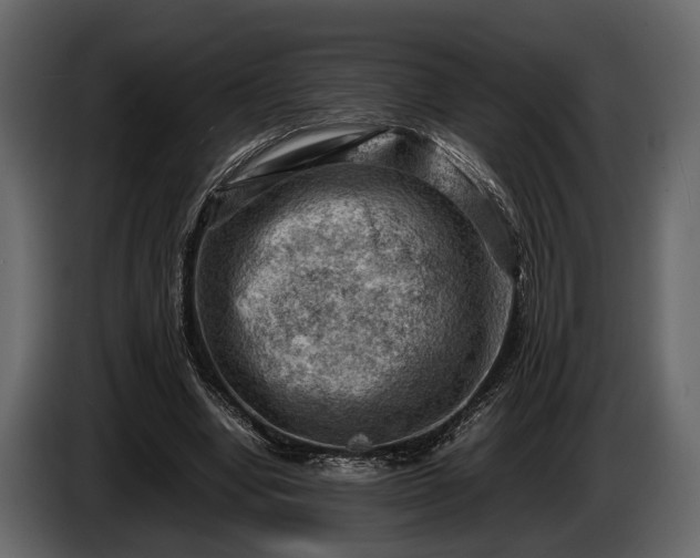 X0000085730442200703231051