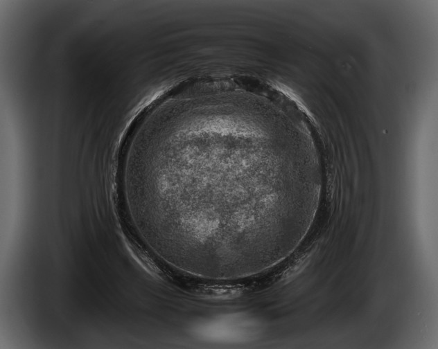 X0000085730443200703231051