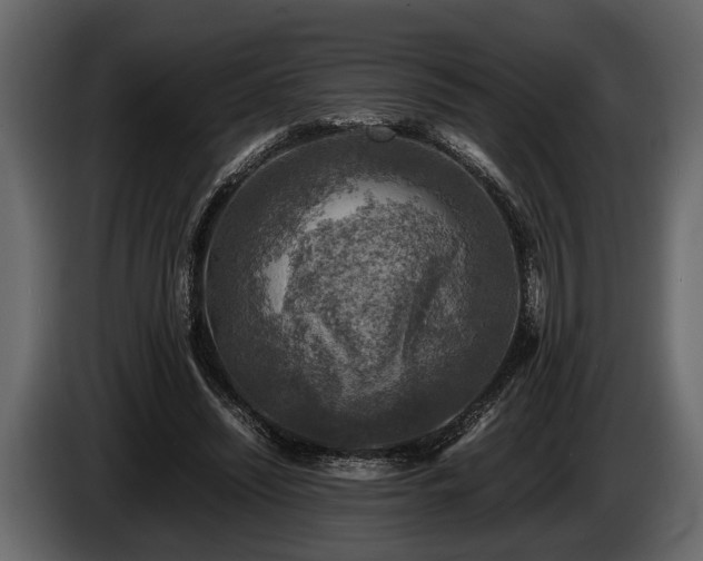 X0000085730444200703231051