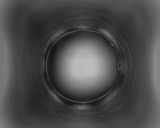 X0000085730445200703231052