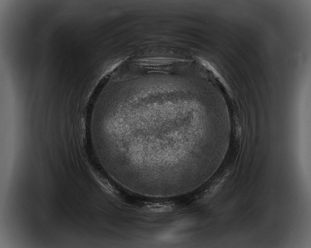 X0000085730447200703231052