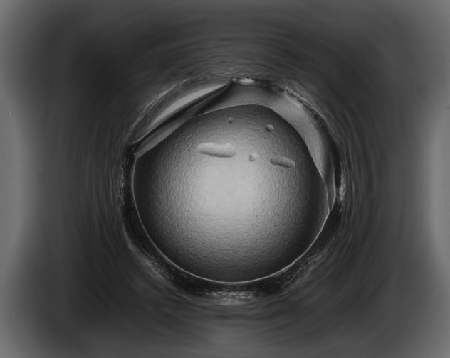 X0000085730448200703231052