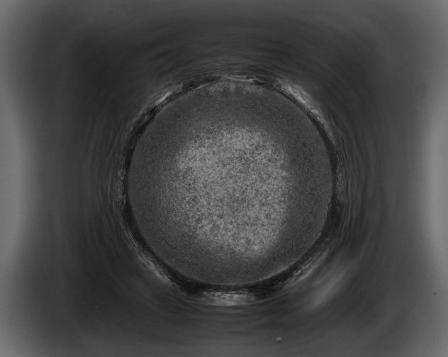 X0000085730449200703231052