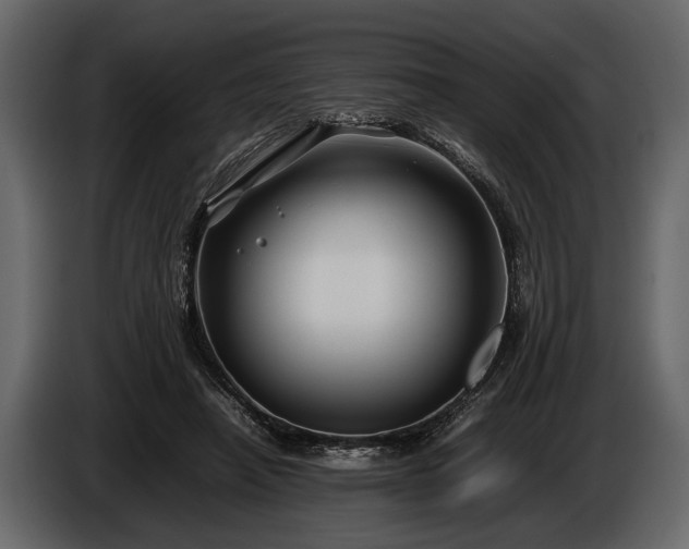 X0000085730450200703231052