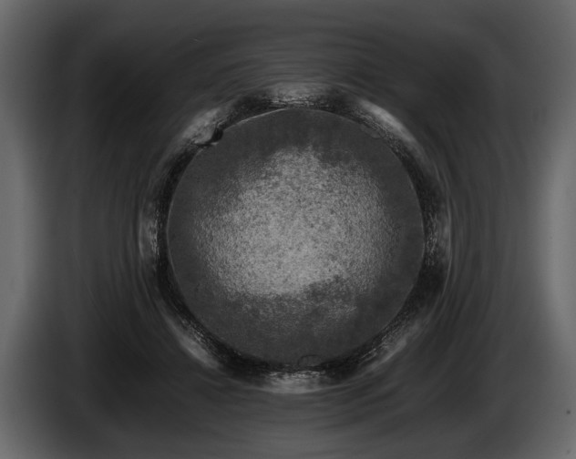 X0000085730452200703231052