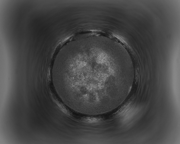 X0000085730453200703231052