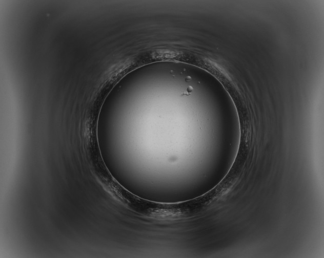 X0000085730455200703231052