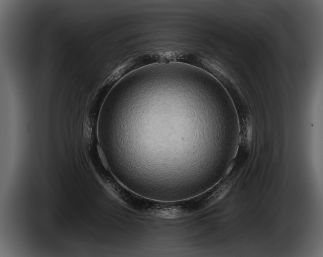 X0000085730456200703231052