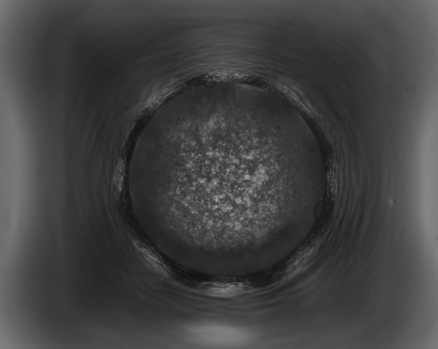 X0000085730458200703231052