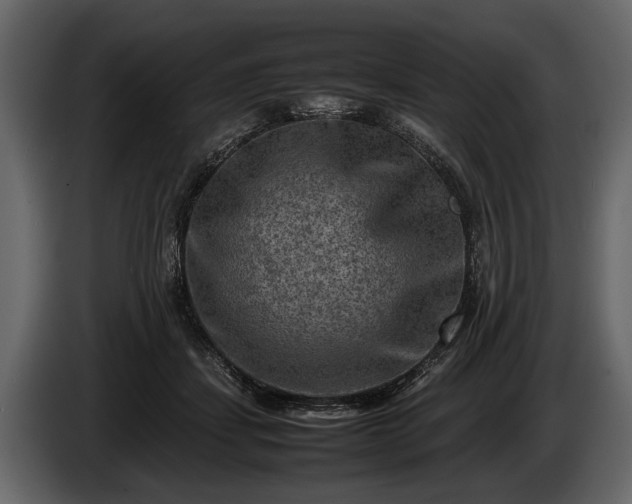 X0000085730459200703231052