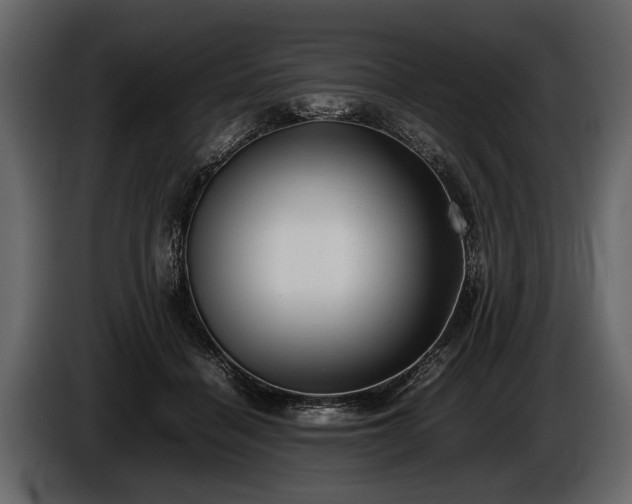 X0000085730460200703231052