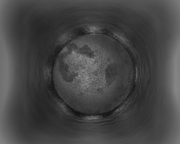 X0000085730461200703231052