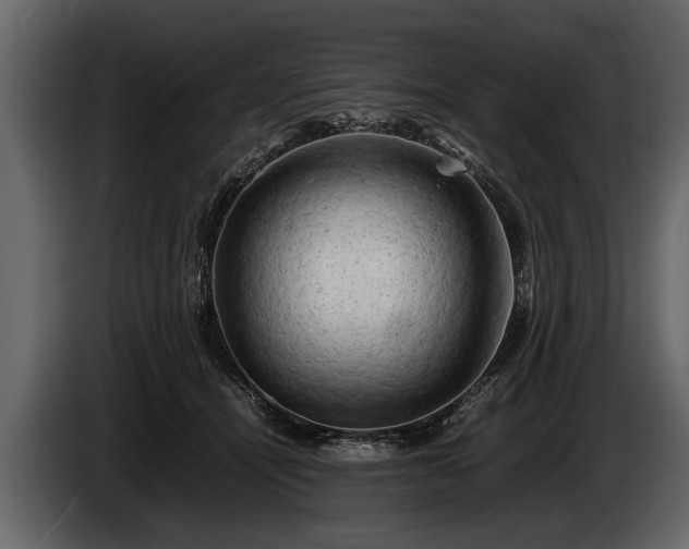 X0000085730464200703231052