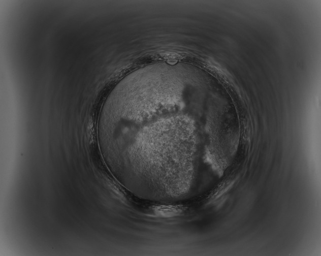 X0000085730465200703231052