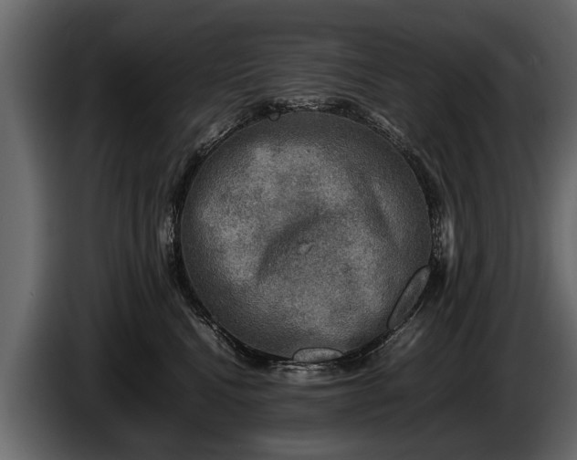 X0000085730472200703231052