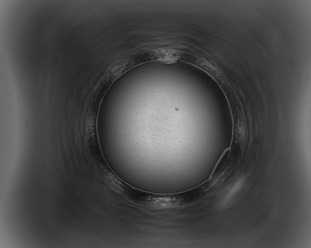 X0000085730473200703231052