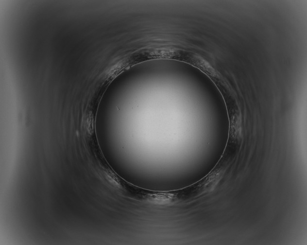 X0000085730474200703231052