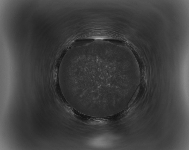 X0000085730475200703231052