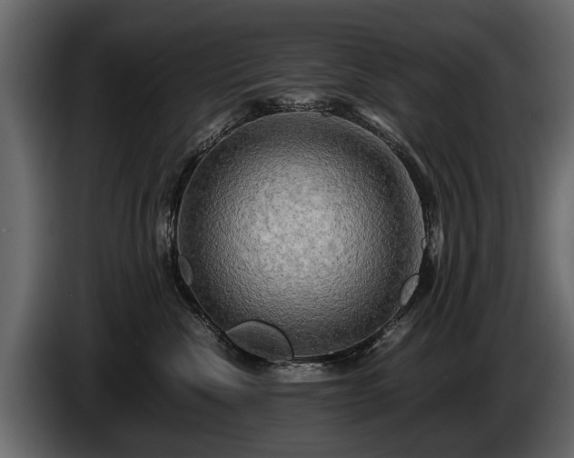 X0000085730476200703231052