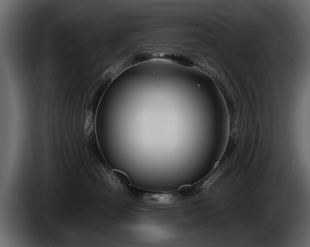 X0000085730478200703231052