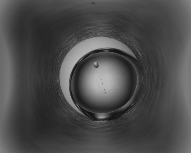 X0000085730480200703231052