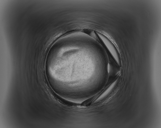 X0000085730481200703231051