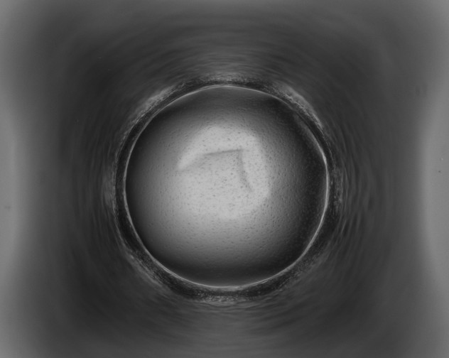 X0000085730482200703231051