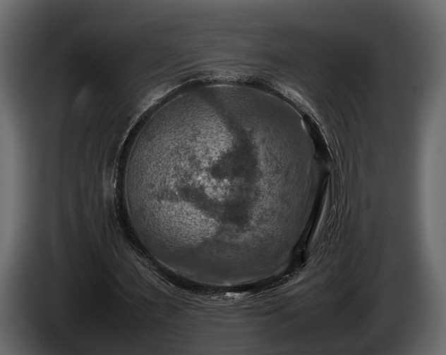 X0000085730483200703231051